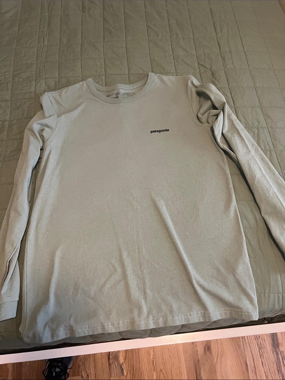 Patagonia Men’s Long-Sleeve Crew — Sage Green